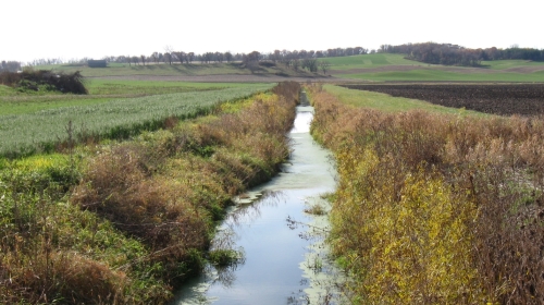 stream with natural vegetation on either side in between farm fields