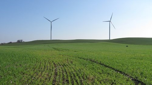 two wind turbines in a crop field