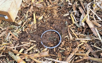 metal ring in the soil
