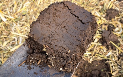 slice of soil on a shovel